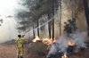 Penyebab Kebakaran di Israel