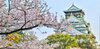 Honeymoon ke Jepang Aja Yuk, Ini 3 Pulau Paling Populer di Negeri Sakura yang Wajib Kamu Kunjungi Bareng Pasangan!