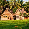 Bikin Betah, Ini 10 Penginapan Unik yang Ada di Bali