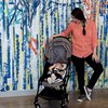 Potret Stroller Anak Artis Beserta Harganya, Ada yang Sampai Ratusan Juta