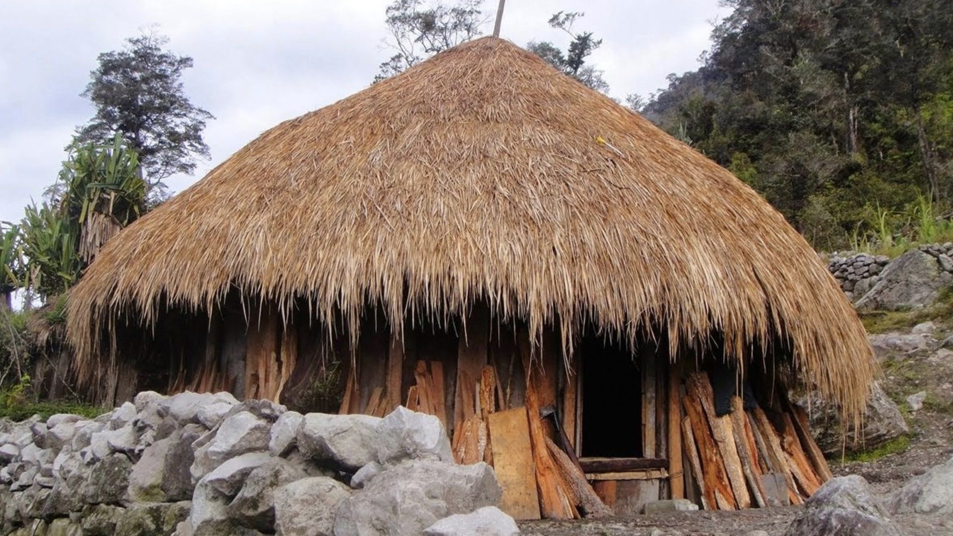 Nama Rumah Adat Papua
