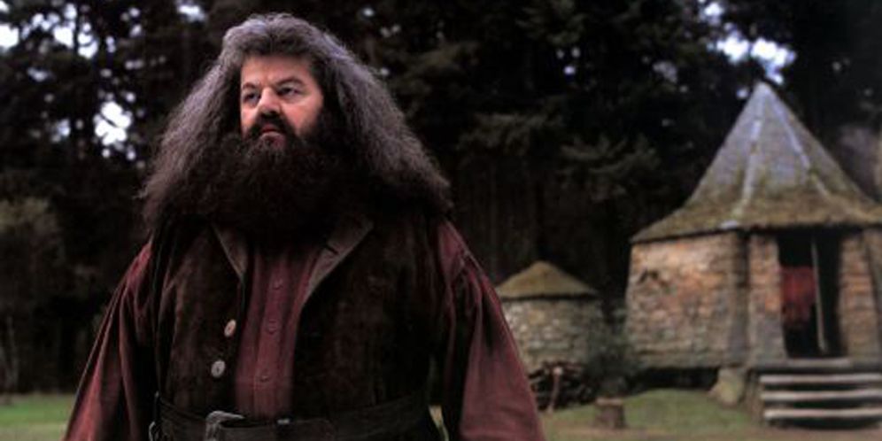 Robbie Coltrane Aktor Pemeran Hagrid di Film Harry Potter