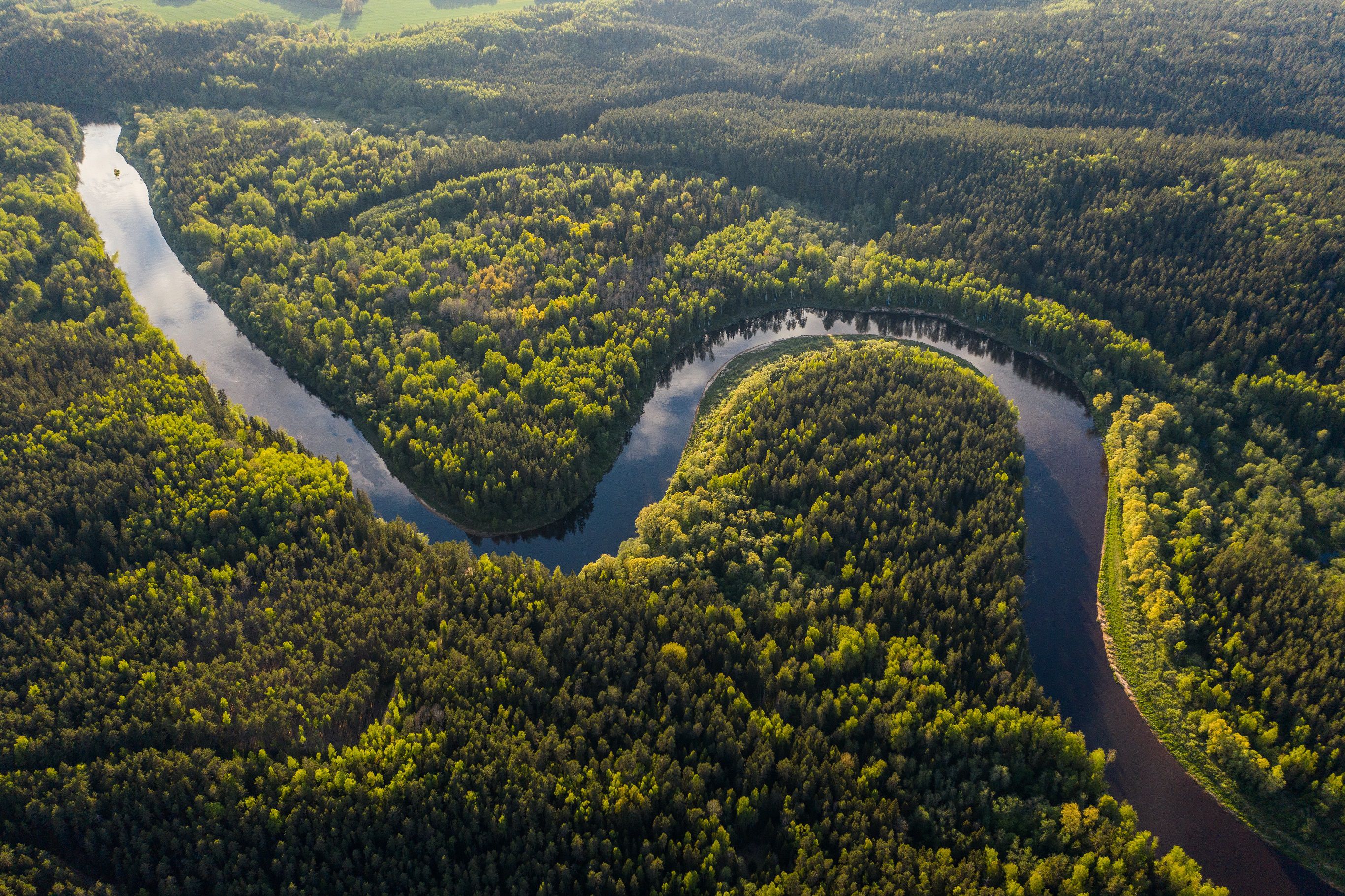 Sungai Terpanjang di Dunia Amazon