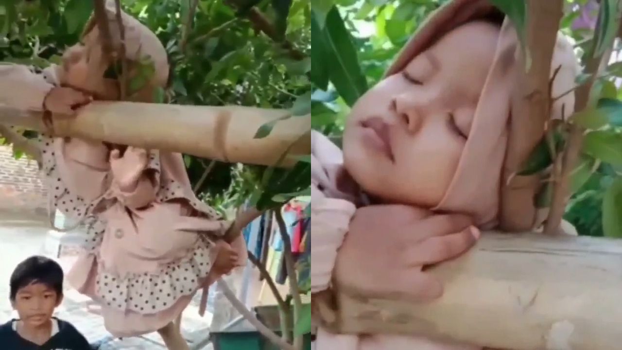 Anak Perempuan Tertidur Lelap di Atas Pohon