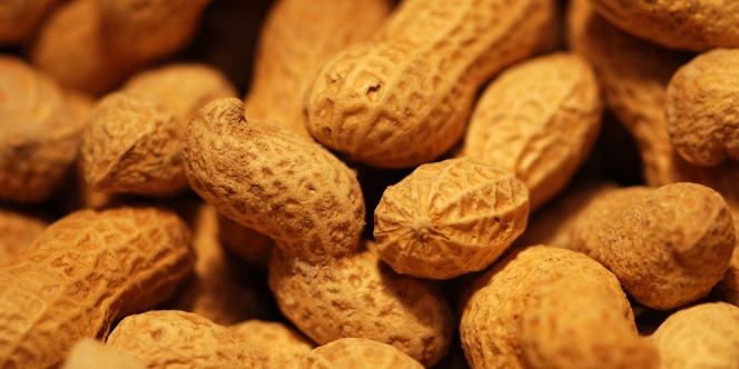 18 Manfaat Kacang Tanah Rebus untuk Ibu Hamil