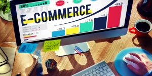 Pengetian E-Commerce, Website, Perusahaan, dan Bisnisnya