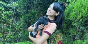  Dua Lipa Unggah Foto Bareng Anjing Kesayangannya, Netizen Dibikin Salfok sama Baju Lucunya