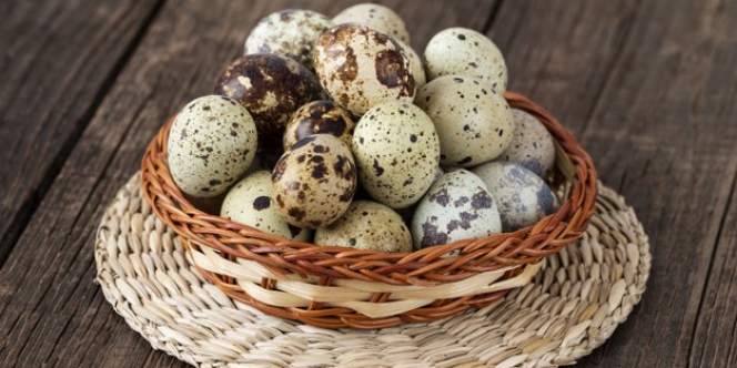 10 Manfaat Telur Puyuh untuk Ibu Hamil dan Bayi Sebagai Pengganti Telur Ayam