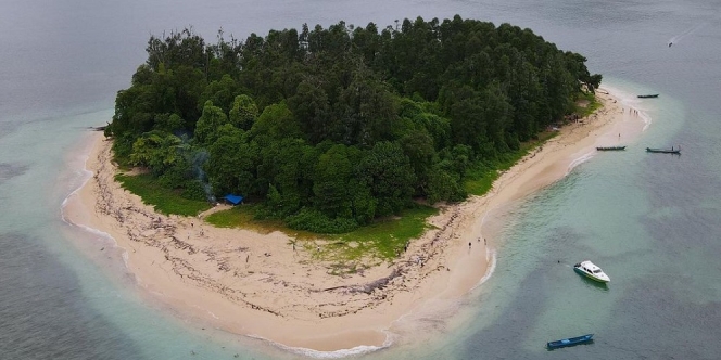 Unik, Pulau Kecil di Papua Barat Ini Hanya Dihuni Oleh Kelelawar