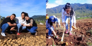 Potret Krisdayanti Ajak Amora dan Kellen Bertani Kentang di Kota Batu, Netizen Banjiri Pujian