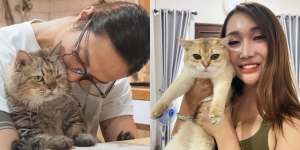 11 Potret Kucing Peliharaan Artis yang Gak Kalah Terkenal dari Pemiliknya, Gemes Banget!