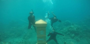 Keren! Grand Watudodol Sajikan Kotak Pos Bawah Laut Pertama di Banyuwangi dan Satu-satunya di Indonesia