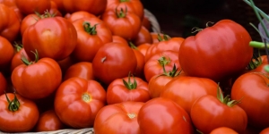 5 Cara Membuat Masker Tomat yang Sederhana dan Mudah untuk Kulit Wajah