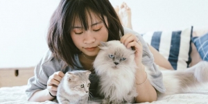Pelihara Kucing Bisa Bikin Susah Hamil, Mitos atau Fakta?