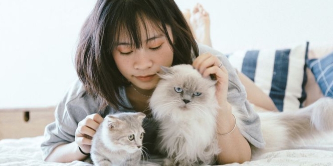Pelihara Kucing Bisa Bikin Susah Hamil, Mitos atau Fakta?