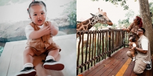 8 Potret Gemas Baby Xarena Anak Siti Badriah Pakai Baju Zoo Keeper, Senang Keliling Kebun Binatang Sambil Kasih Makan Jerapah
